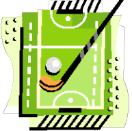 hockey_pitch.gif